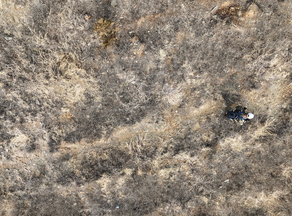 3月11日，在遼寧省朝陽市雙塔區，考古人員在調查紅山文化遺址（無人機照片）。新華社記者 李鋼 攝