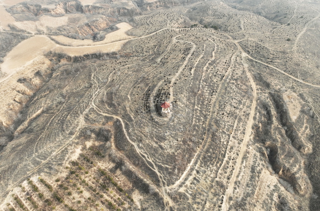 遼寧朝陽：調查紅山文化遺跡
