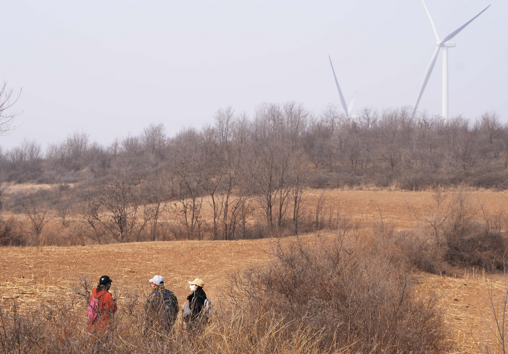 3月11日，在遼寧省朝陽市雙塔區，考古人員在調查紅山文化遺址。新華社記者 李鋼 攝