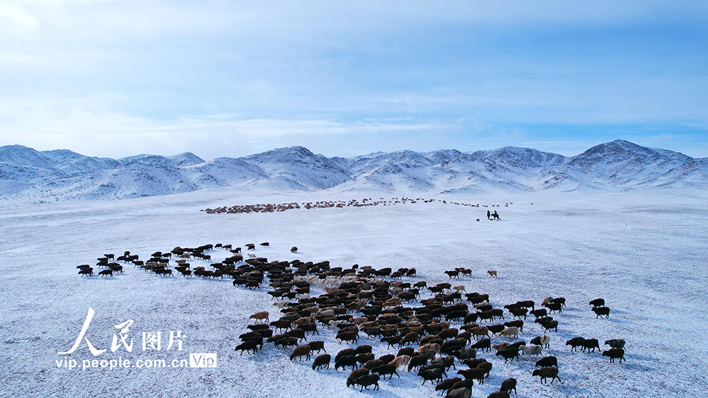 新疆阿勒泰：牧民踏上春季轉場路