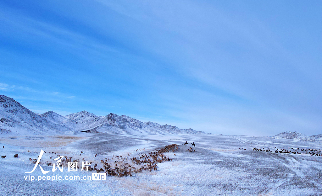 新疆阿勒泰：牧民踏上春季轉場路【7】