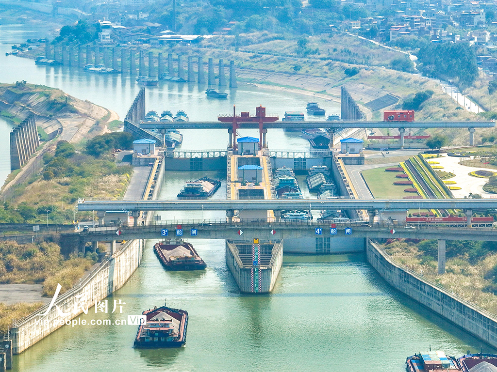 廣西梧州：長洲水利樞紐航運忙