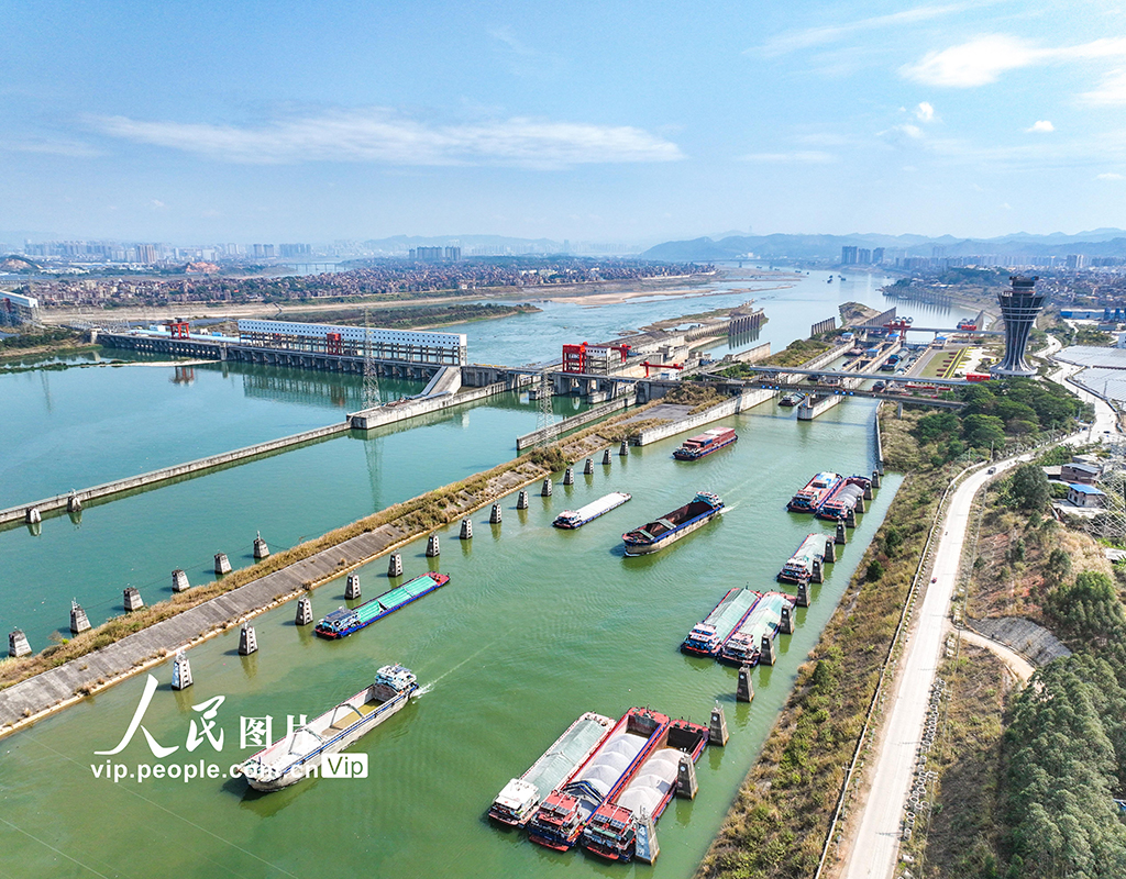 廣西梧州：長洲水利樞紐航運忙【4】