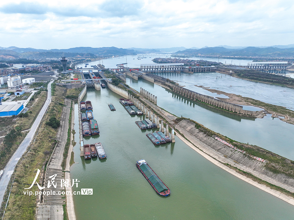 廣西梧州：長洲水利樞紐航運忙【2】