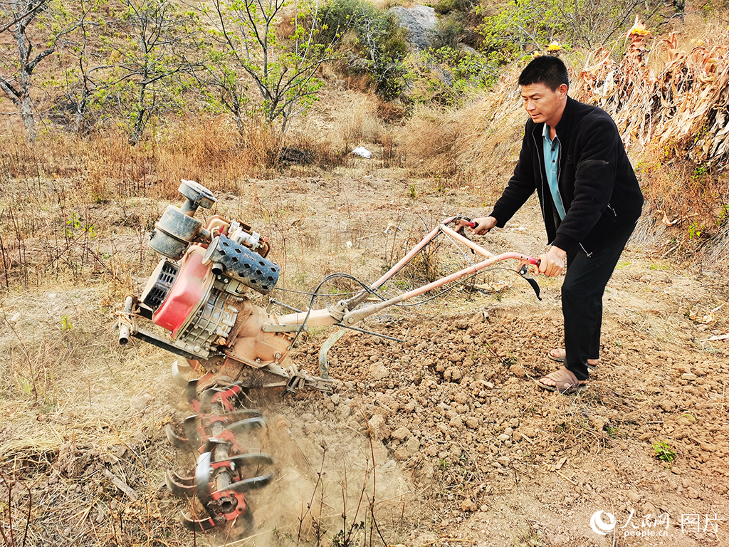 四川攀枝花：守護農時萬物蘇【3】