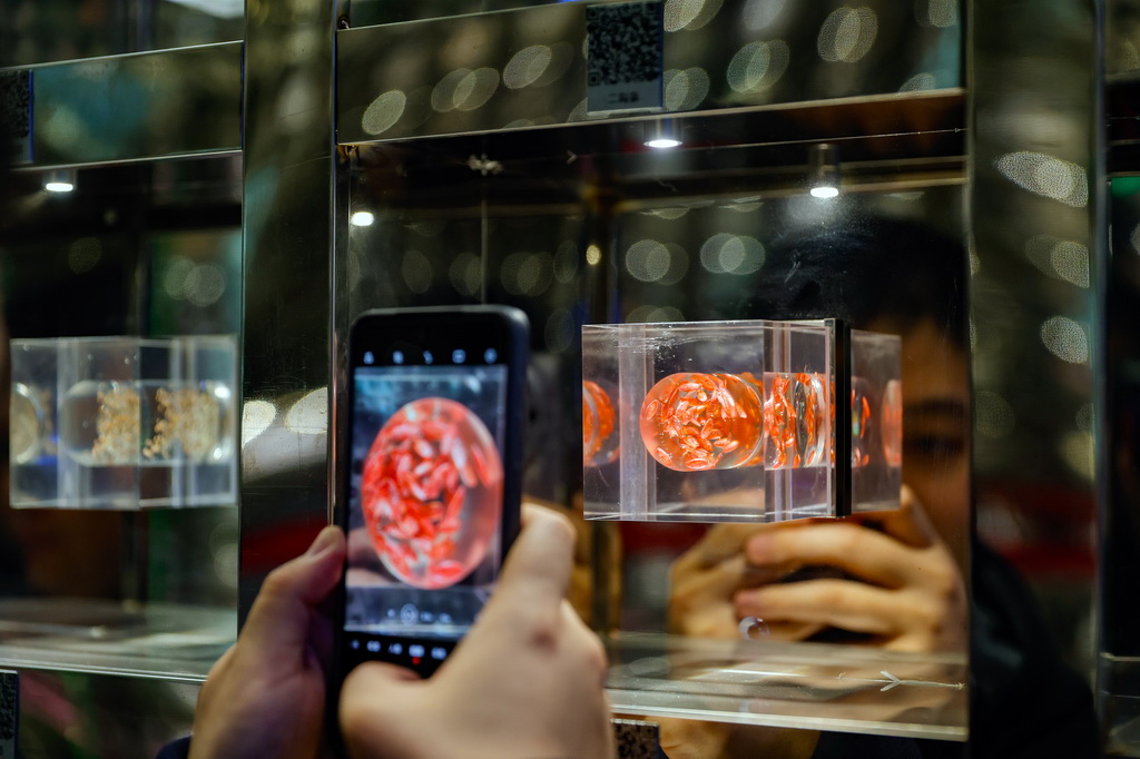 3月13日，在四川成都彭州市的“種子銀行”內，參觀者在拍攝這里的蔬菜種子。