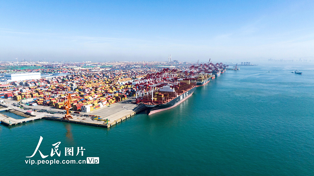 山東港口青島港：集裝箱裝卸作業忙【4】