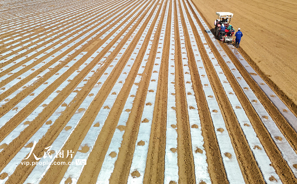 山東青島：智慧農機助力春耕