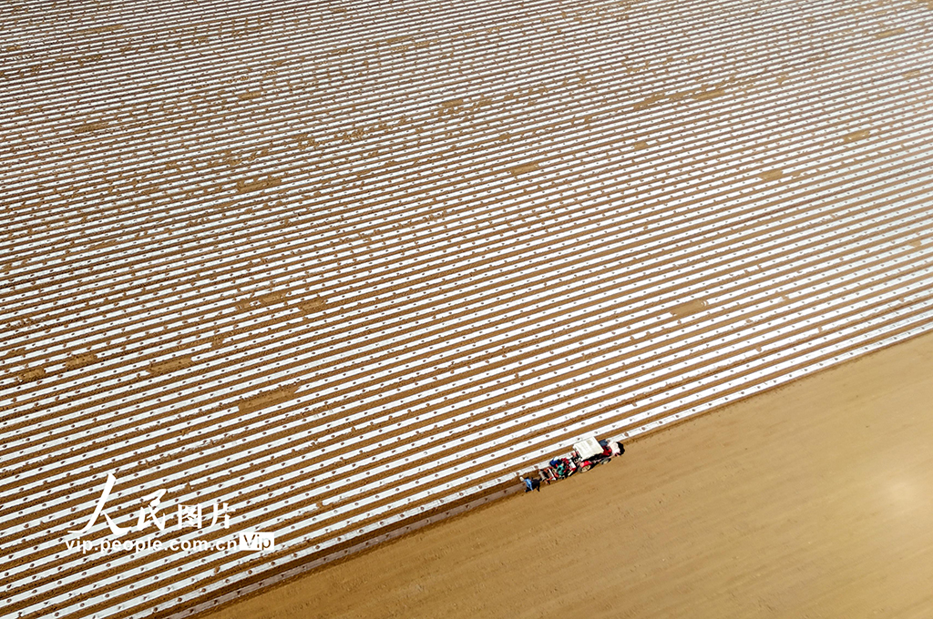 山東青島：智慧農機助力春耕【4】