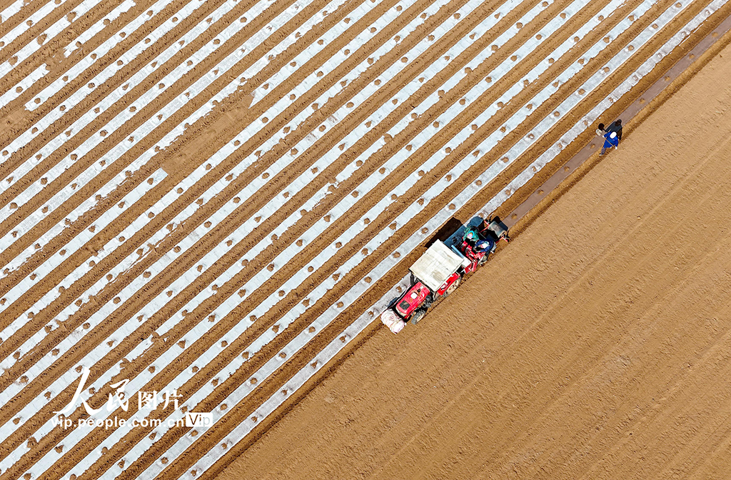 山東青島：智慧農機助力春耕【2】