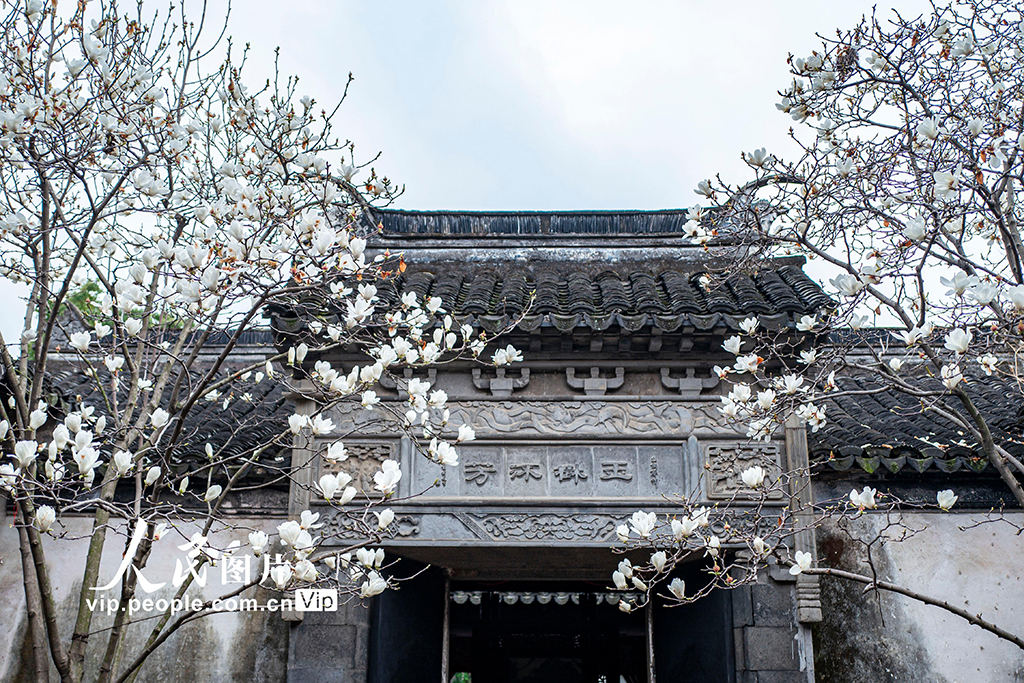 江蘇昆山：周莊古鎮春色美【6】