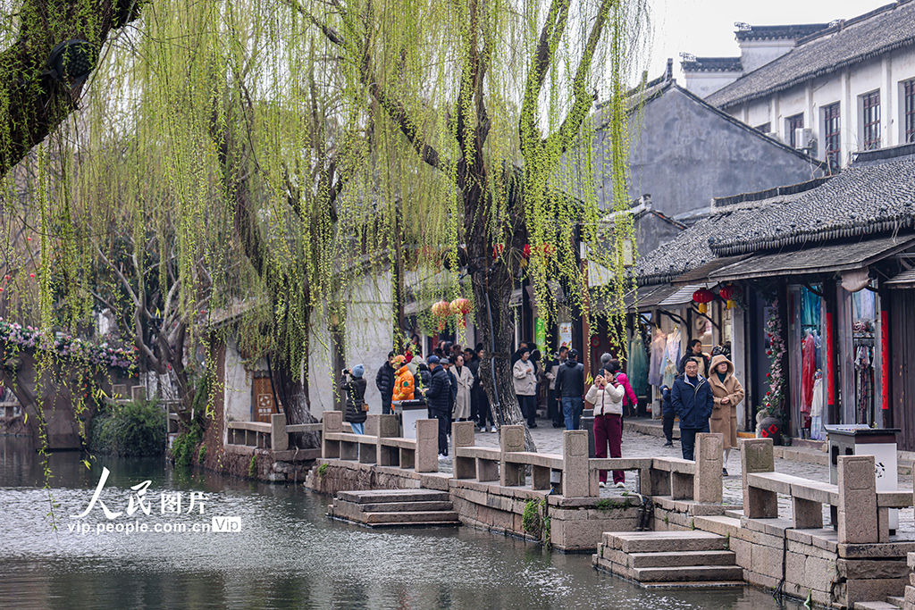 江蘇昆山：周莊古鎮春色美【5】