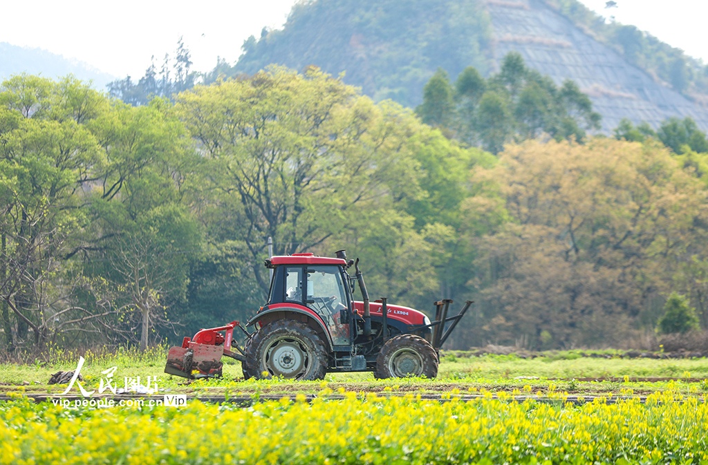 廣西蒙山：春耕春種忙