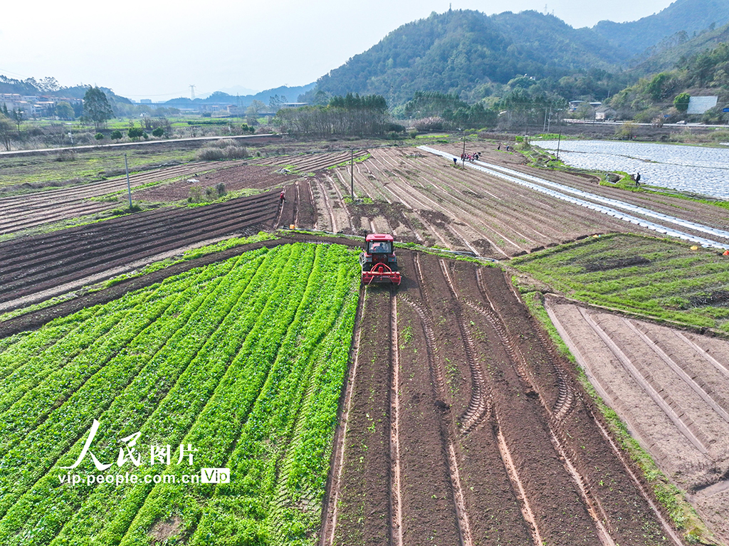 廣西蒙山：春耕春種忙【2】