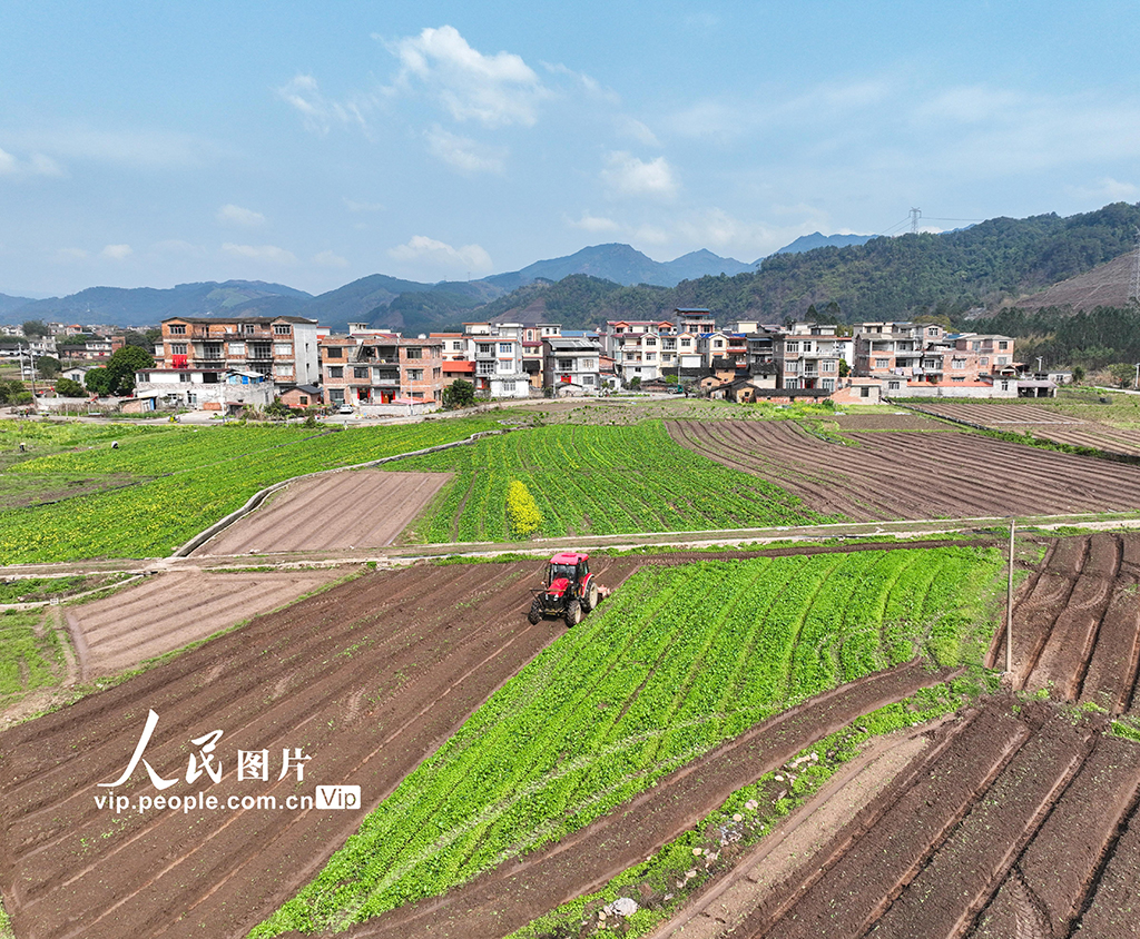 廣西蒙山：春耕春種忙【3】