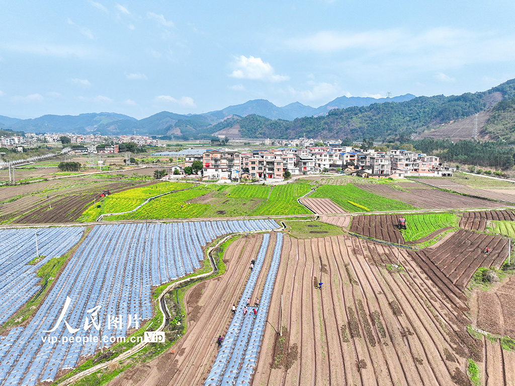 廣西蒙山：春耕春種忙【4】