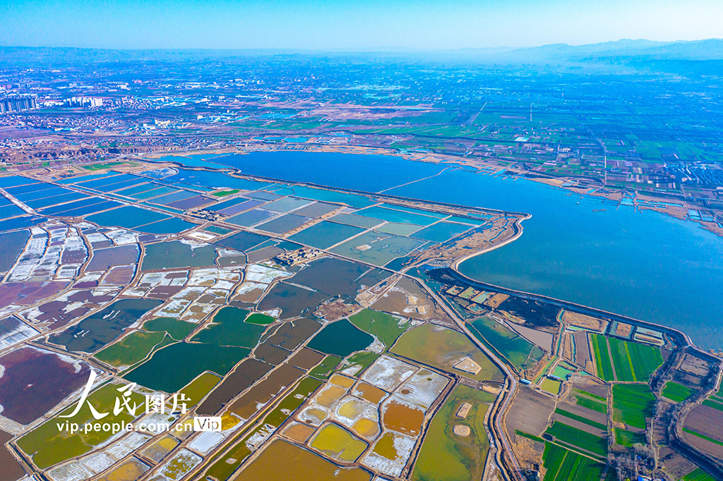 山西運城：七彩鹽湖換“新裝”【3】