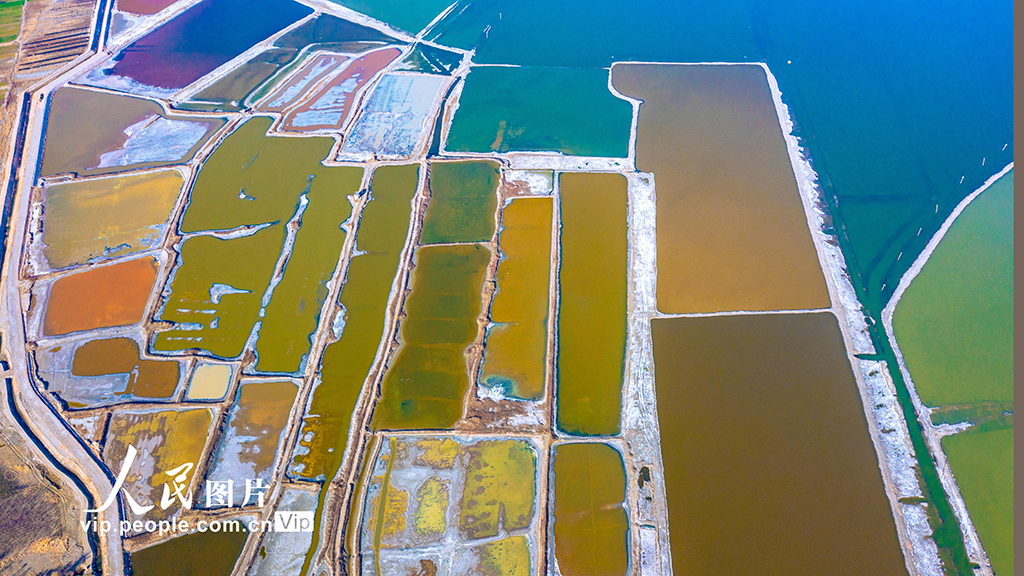 山西運城：七彩鹽湖換“新裝”【4】