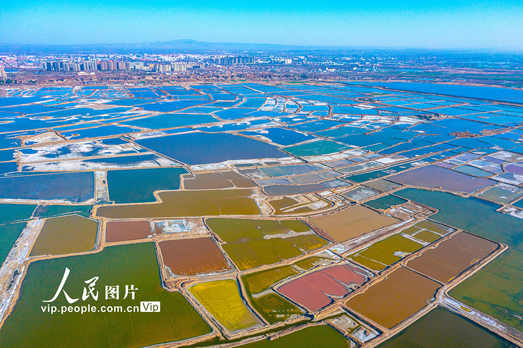 山西運城：七彩鹽湖換“新裝”【5】