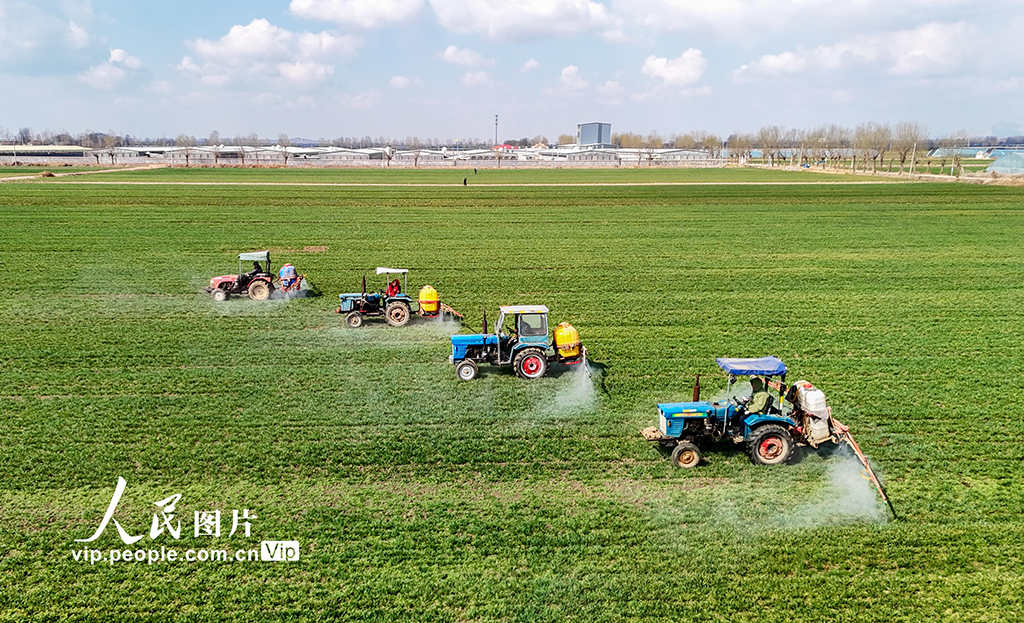 山東萊西：智能農機深耕春管一線【2】