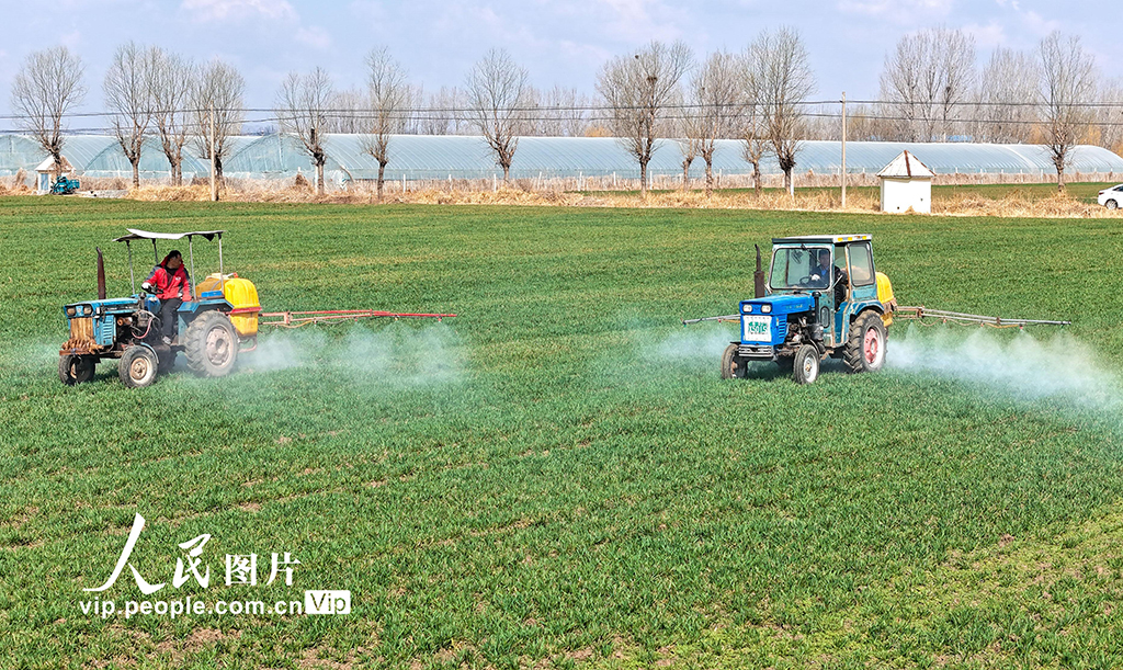 山東萊西：智能農機深耕春管一線【4】