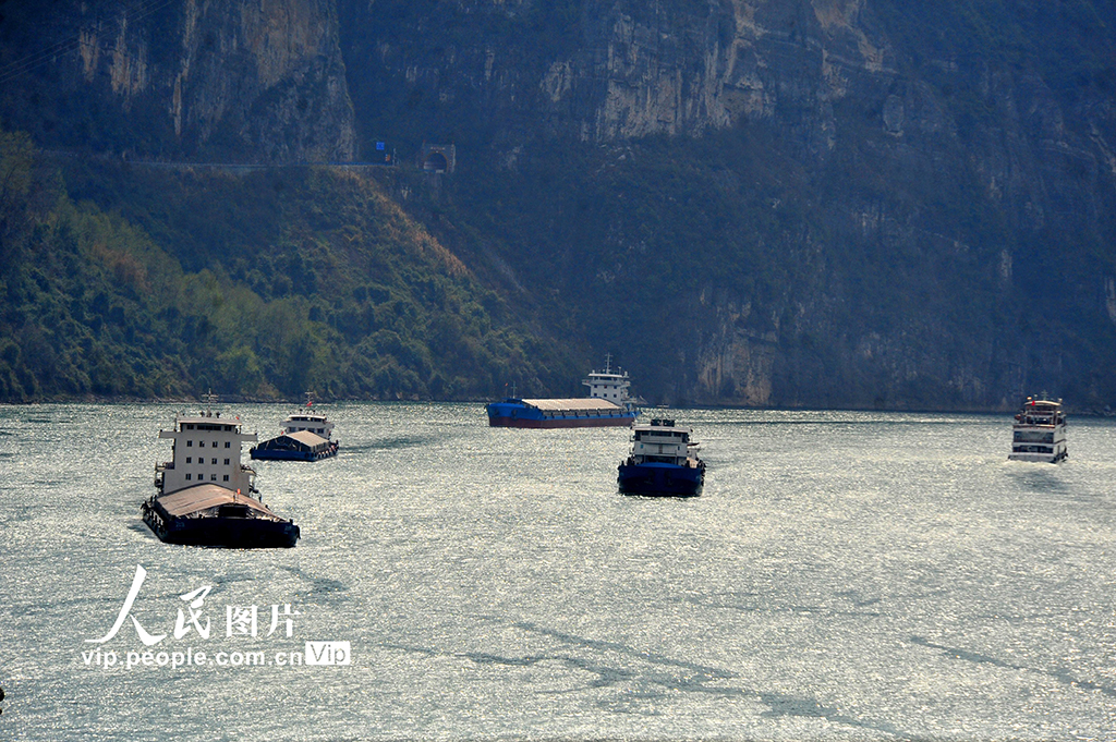 湖北宜昌：長江“黃金水道”貨運忙