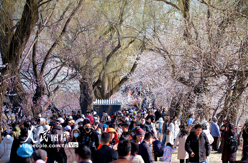 頤和園春色滿園惹人醉【5】