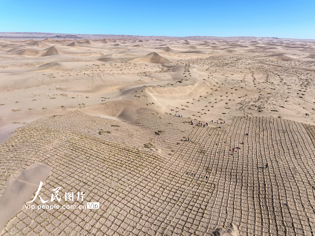 甘肅臨澤：織網壓沙【3】