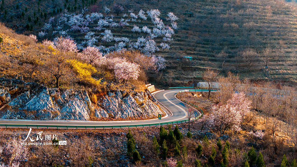 安徽淮北：鄉村盤山路為文旅融合添動能