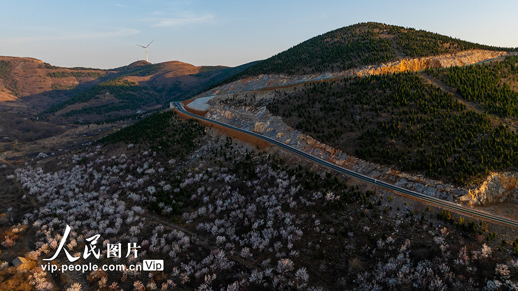 安徽淮北：鄉村盤山路為文旅融合添動能【5】