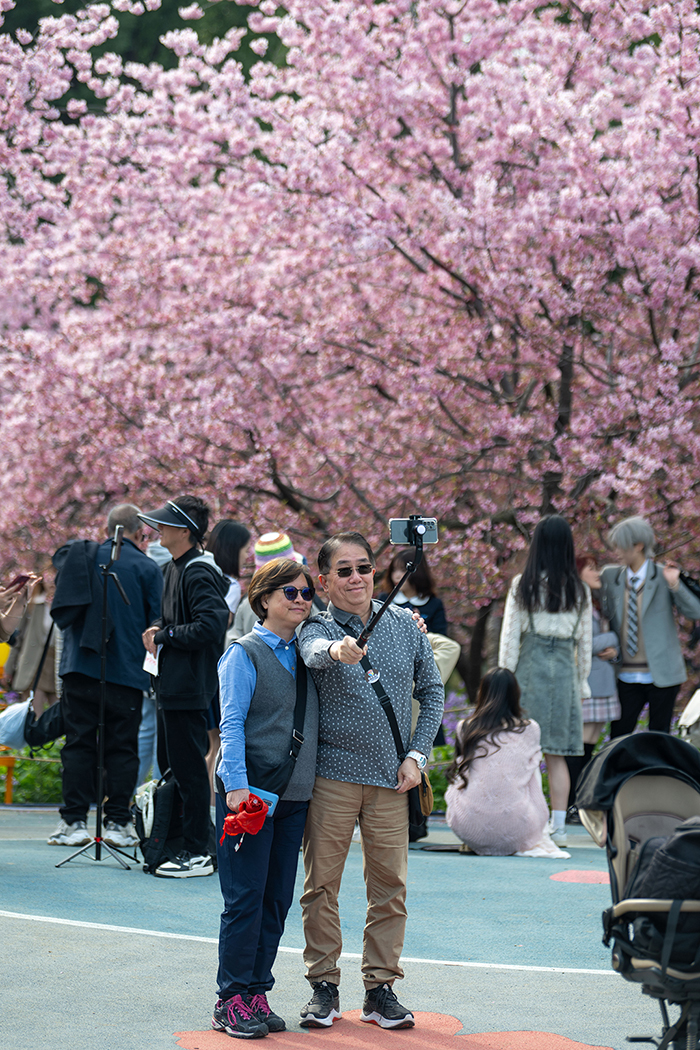 湖北武漢：早櫻盛開醉游人【10】