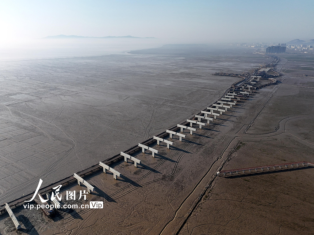 浙江溫州：橋梁臥波架通途