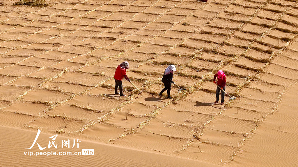 甘肅臨澤：巴丹吉林沙漠“鎖邊”忙【7】