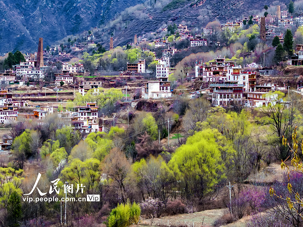 四川丹巴：春到藏寨美如畫【3】