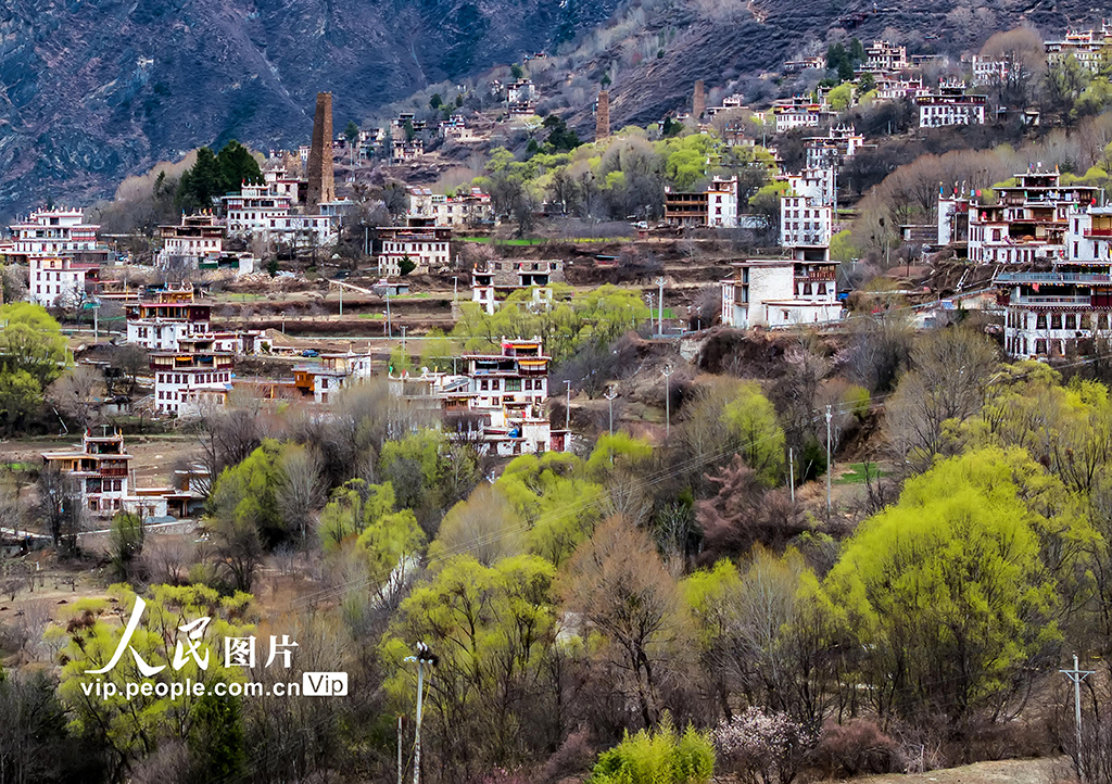 四川丹巴：春到藏寨美如畫【2】