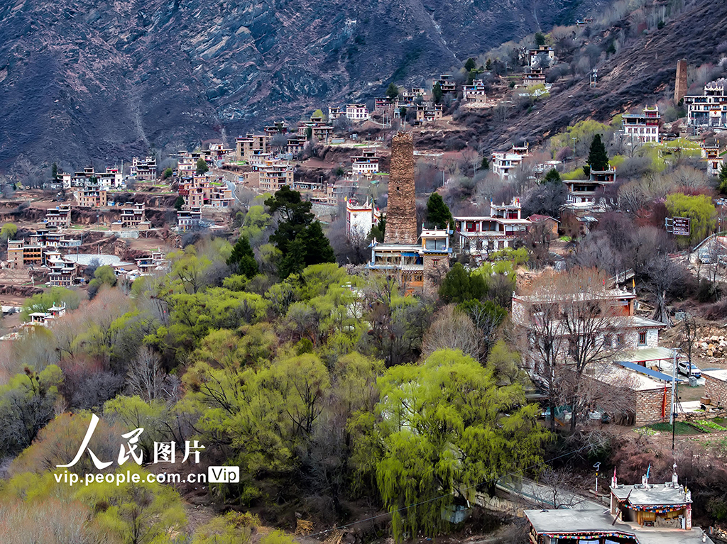 四川丹巴：春到藏寨美如畫【5】