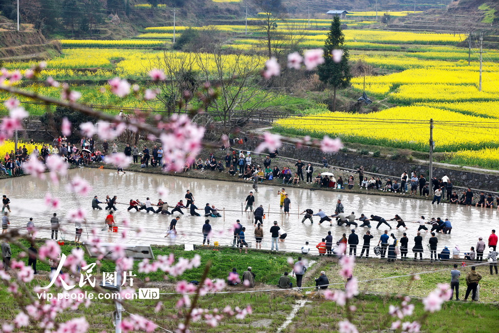 貴州施秉：“田運會”上歡樂多【3】