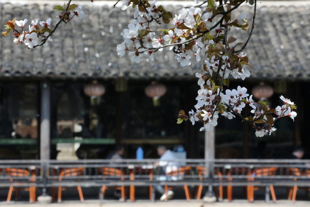 3月22日，游人在浙江省嘉興市南湖區月河歷史街區休閑。新華社發（金鵬攝）
