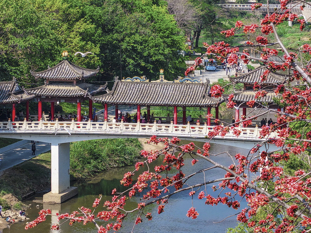 3月22日，人們在廣東深圳龍崗區龍園公園內賞花游玩（無人機照片）。新華社發（黃志攝）