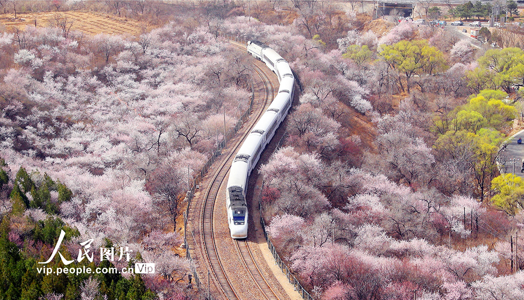 北京:列車穿越花?!?】