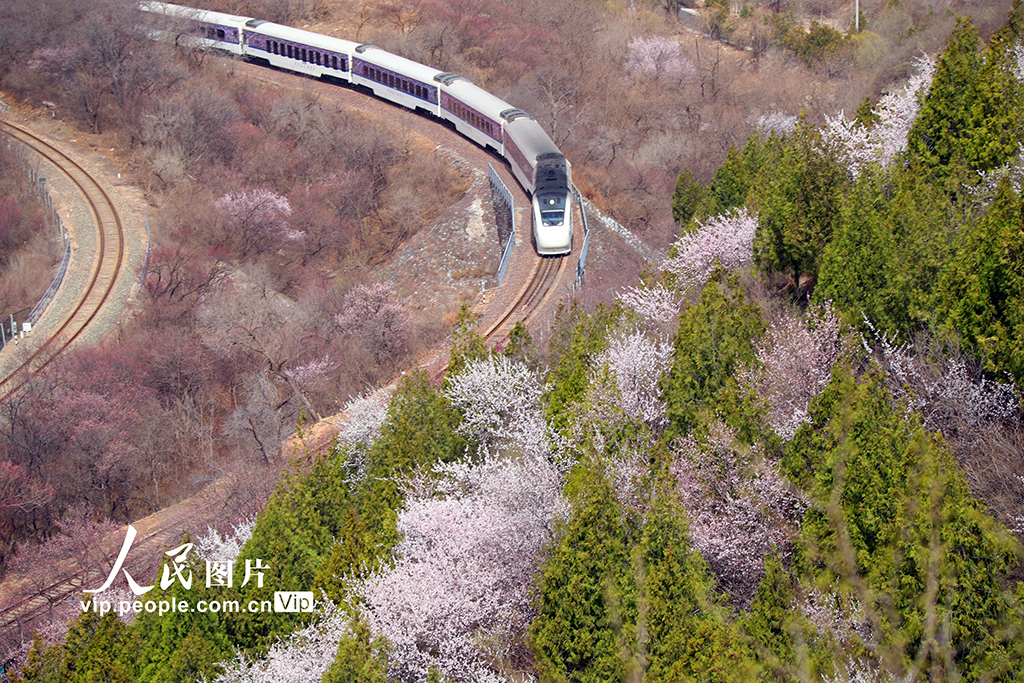 北京：列車穿越花?！?】