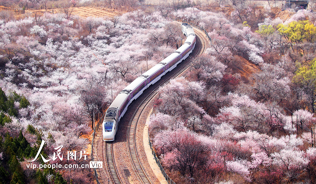 北京：列車穿越花?！?】