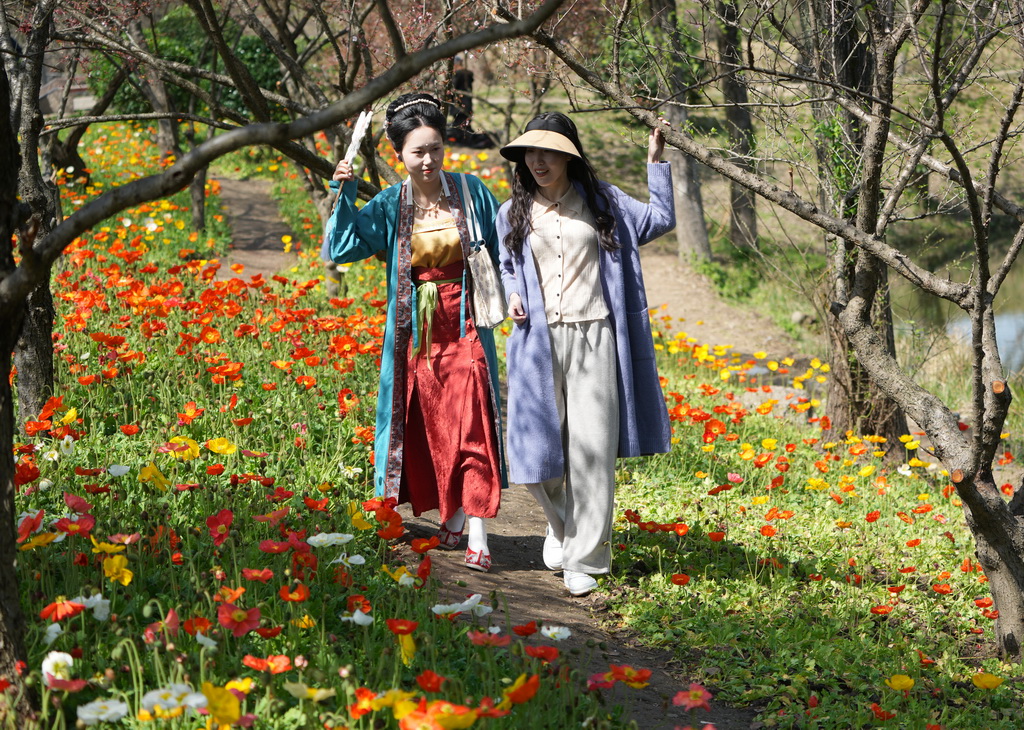 3月24日，游客在西溪濕地一條小徑上欣賞開放的虞美人。