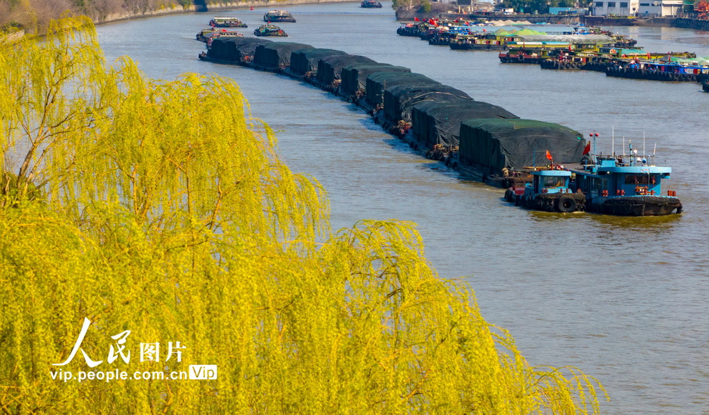 江蘇常州:船舶在京杭大運河往來穿梭【3】