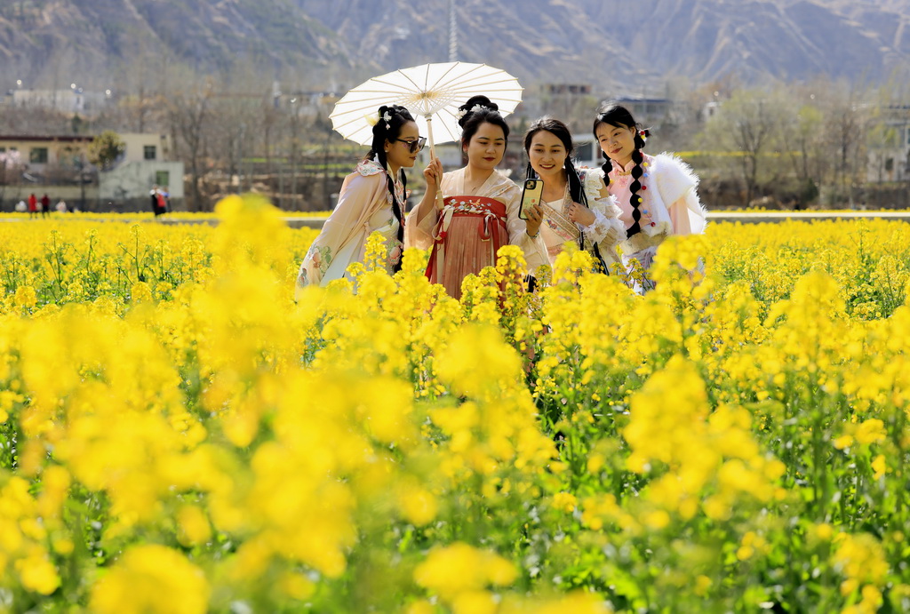 3月24日，游客在甘肅省隴南市武都區坪埡藏族鄉賞花游玩。新華社發（冉創昌攝）