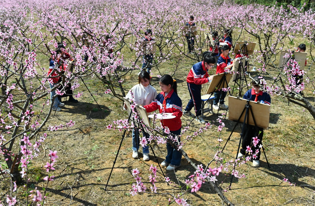 3月24日，在湖南省邵陽市洞口縣黃橋鎮石獅村，學生在桃花園里寫生。新華社發（滕治中攝）