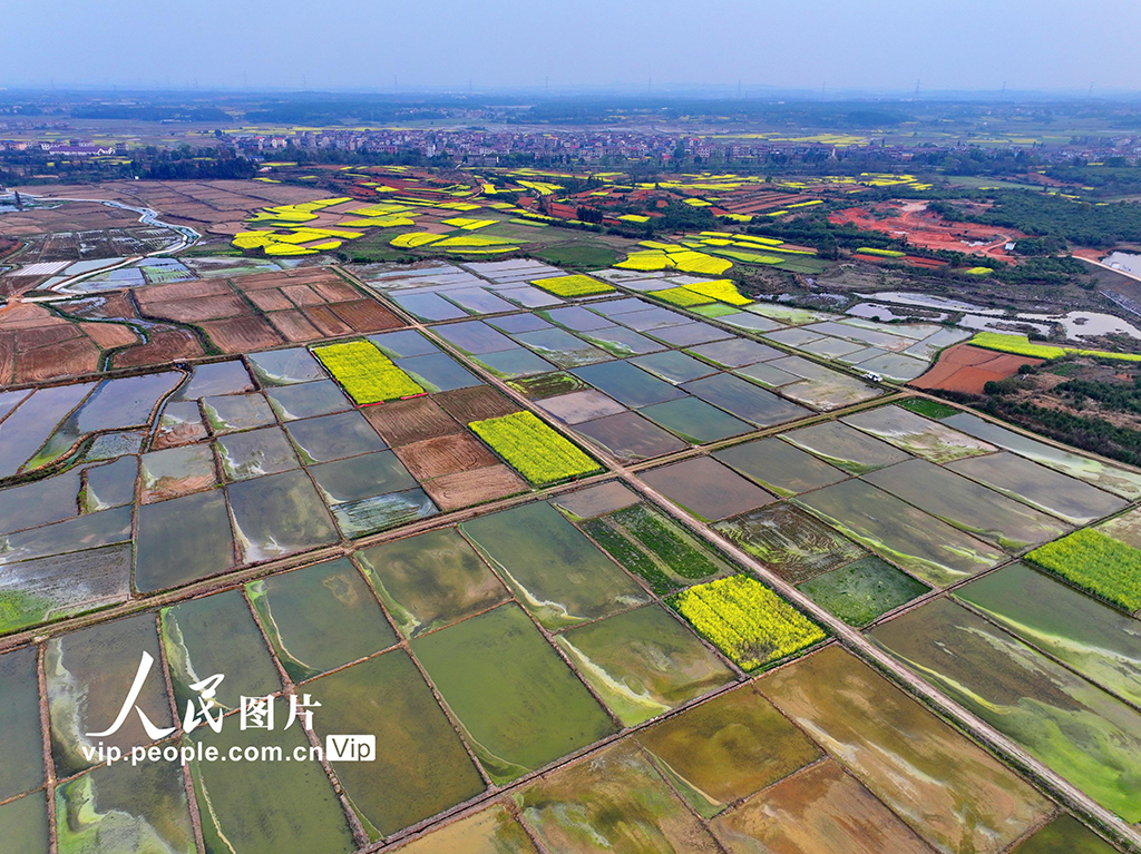 江西豐城:蓄水灌田助力糧食生產【2】