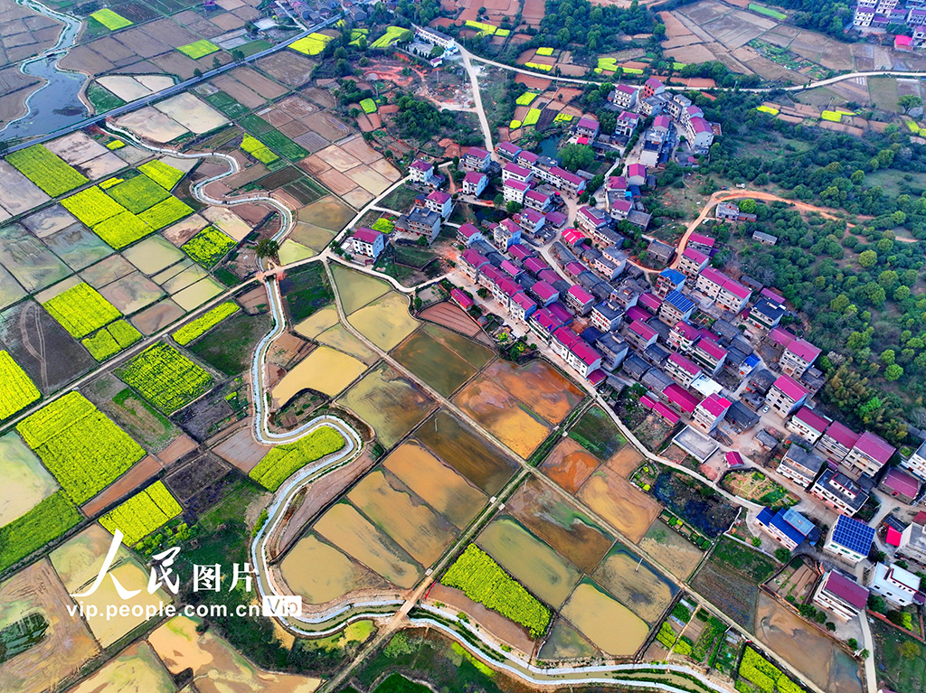 江西豐城:蓄水灌田助力糧食生產【4】