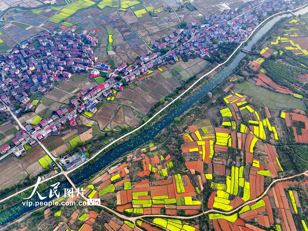 江西豐城：蓄水灌田助力糧食生產
