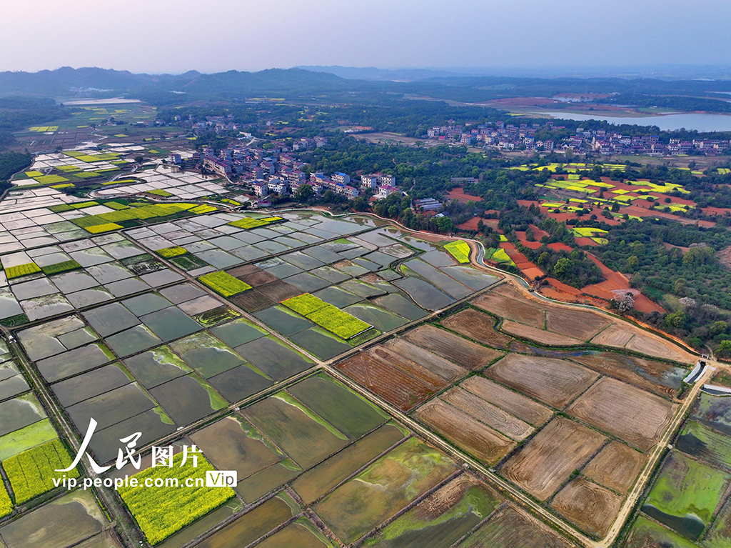 江西豐城:蓄水灌田助力糧食生產【6】